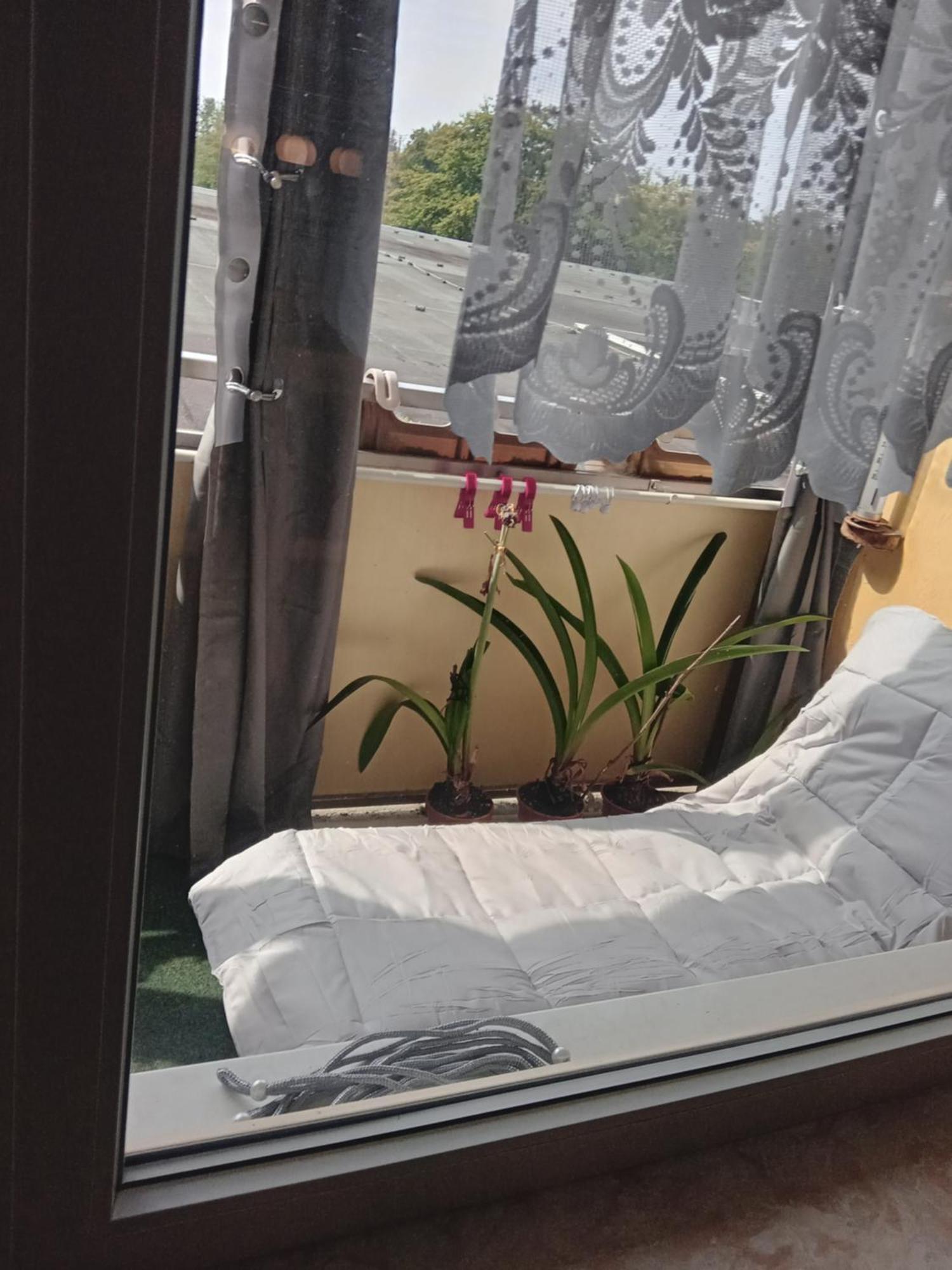 Wohnung 416, Am Kurpark 3, 38700 브라운라제 외부 사진